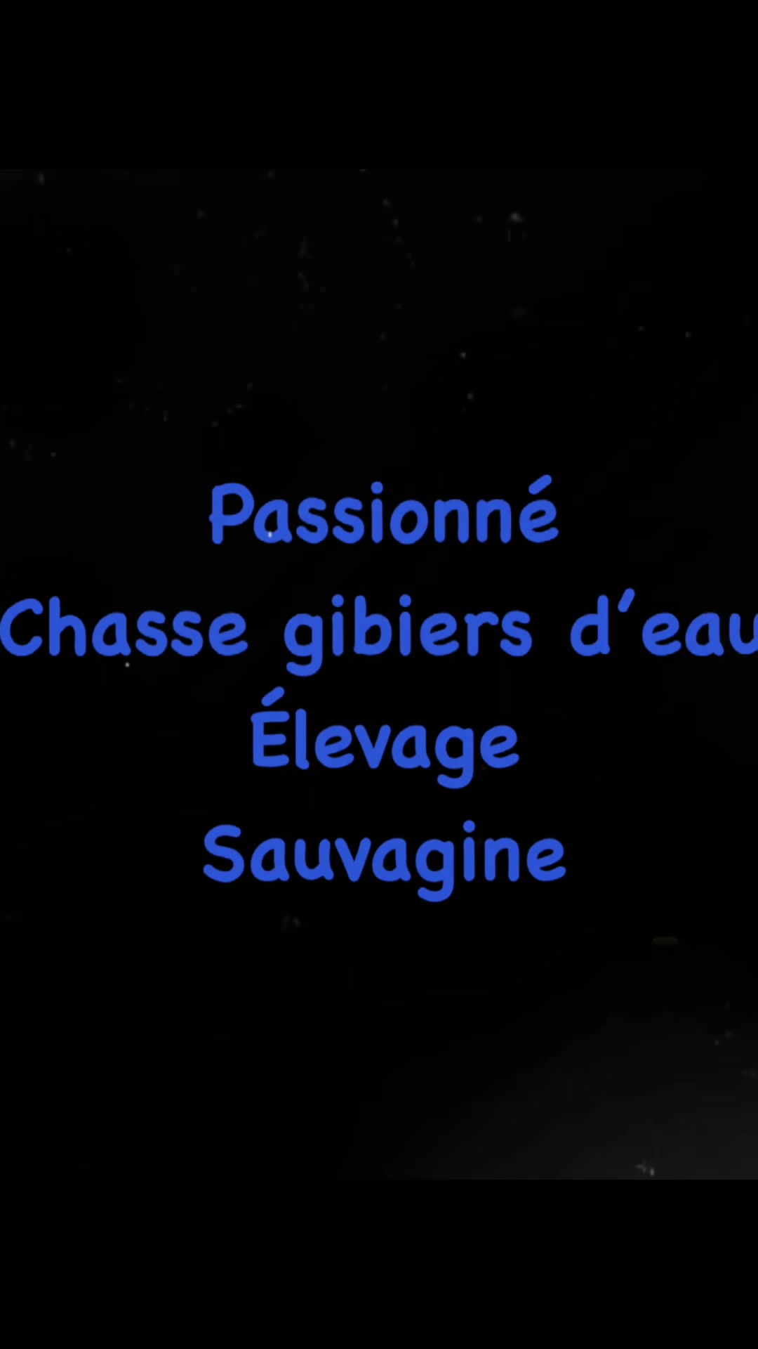 @Sauvaginebaiedeseine