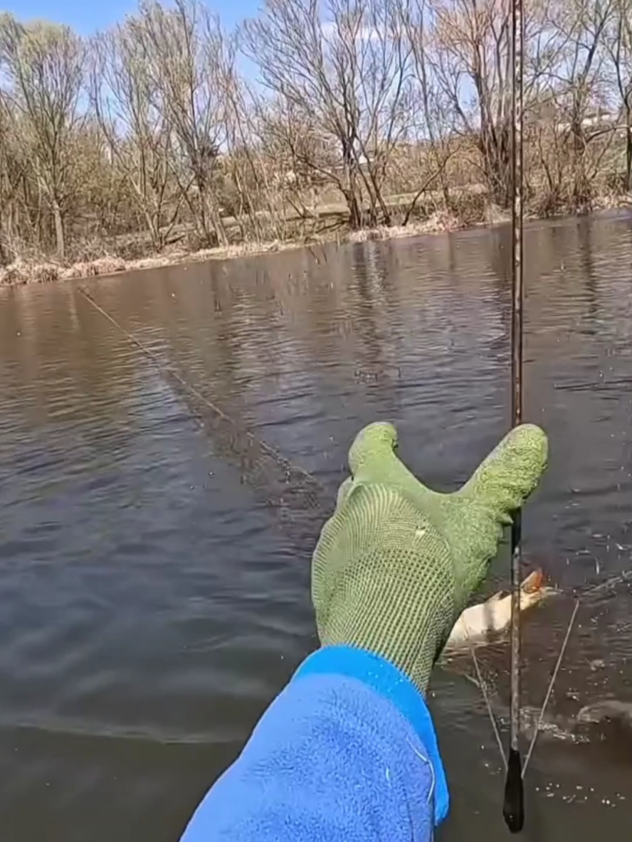 @ribalka_fishing