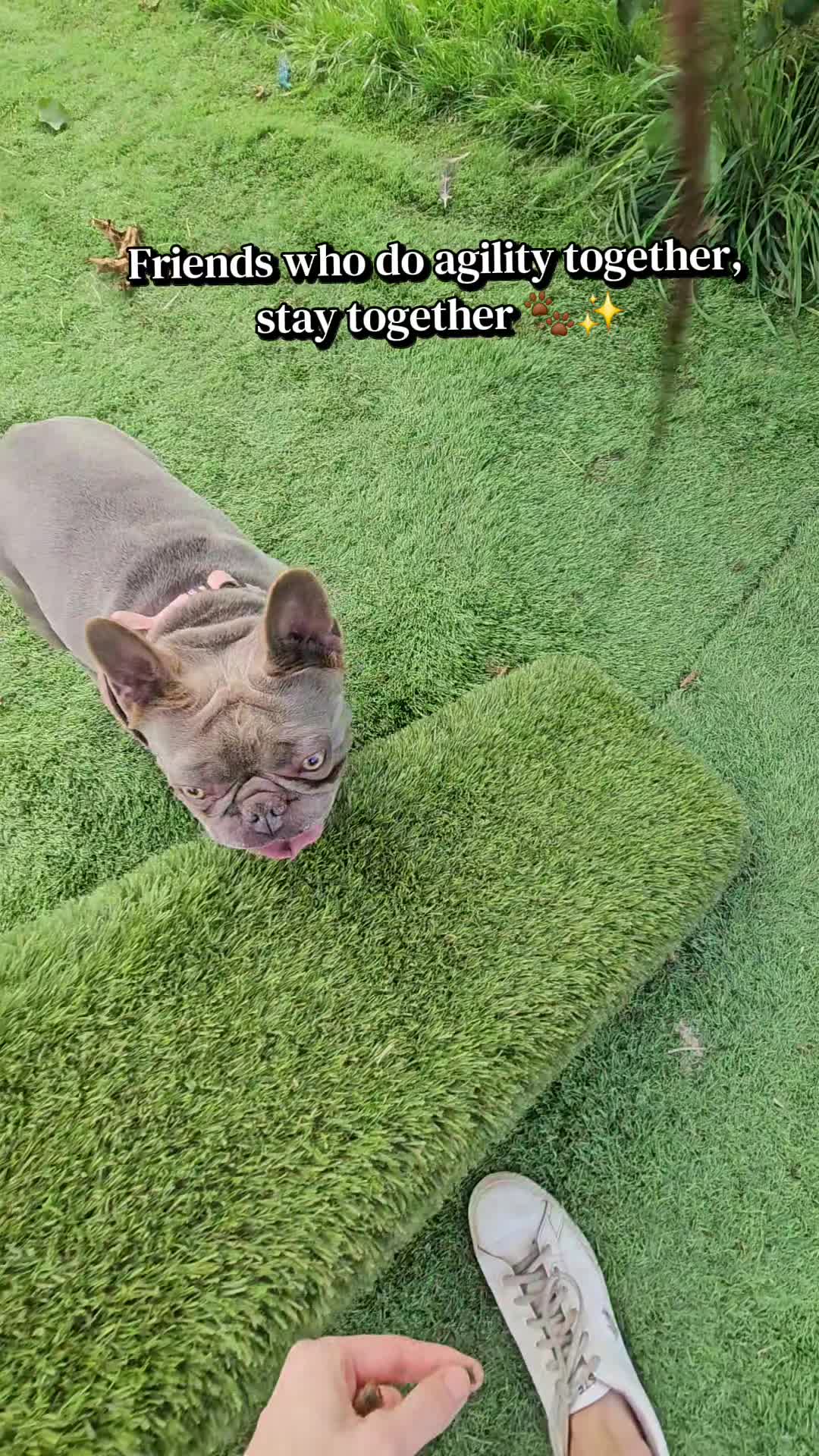 @Chynna Leigh•Dog Pack Life
