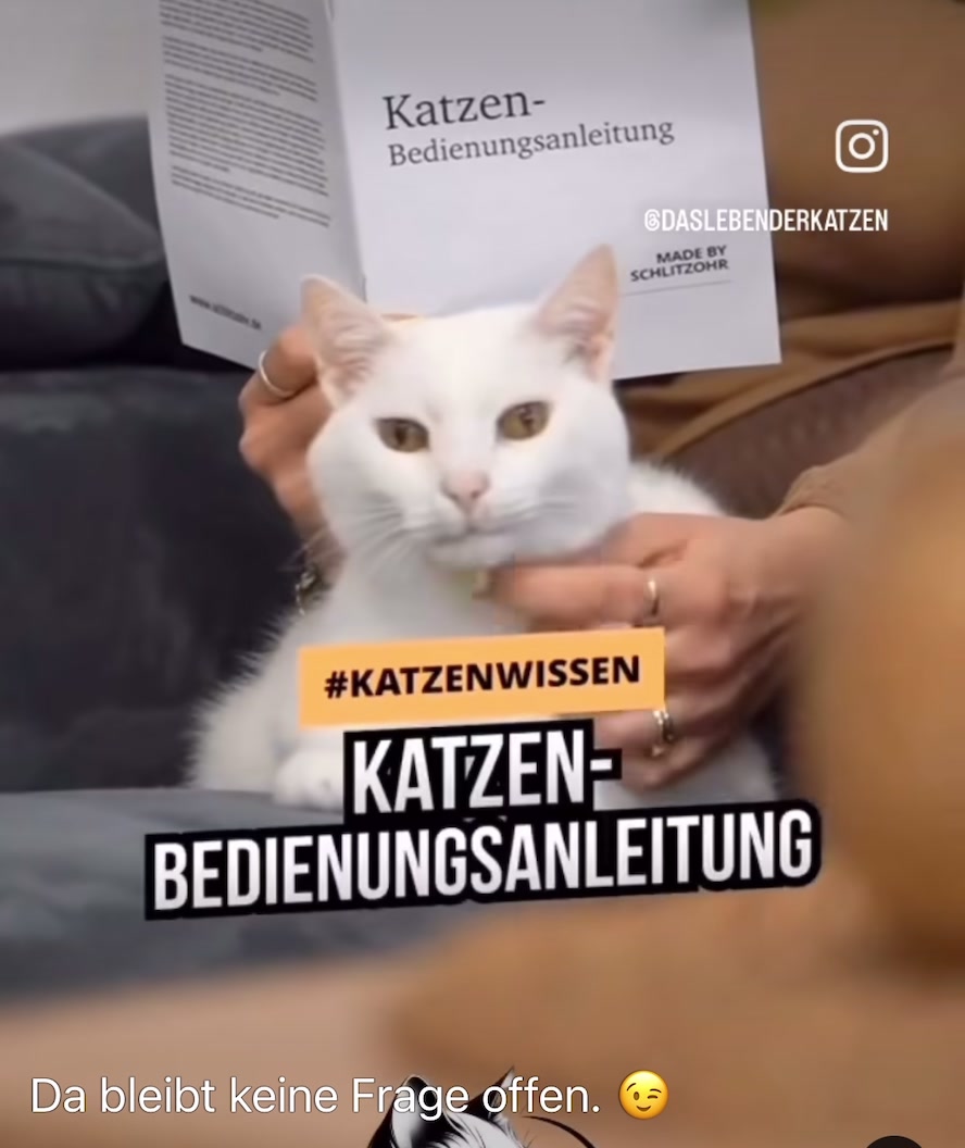 @Bea✌️mit Gang 🐕🐈🐈🐈&zwj;⬛