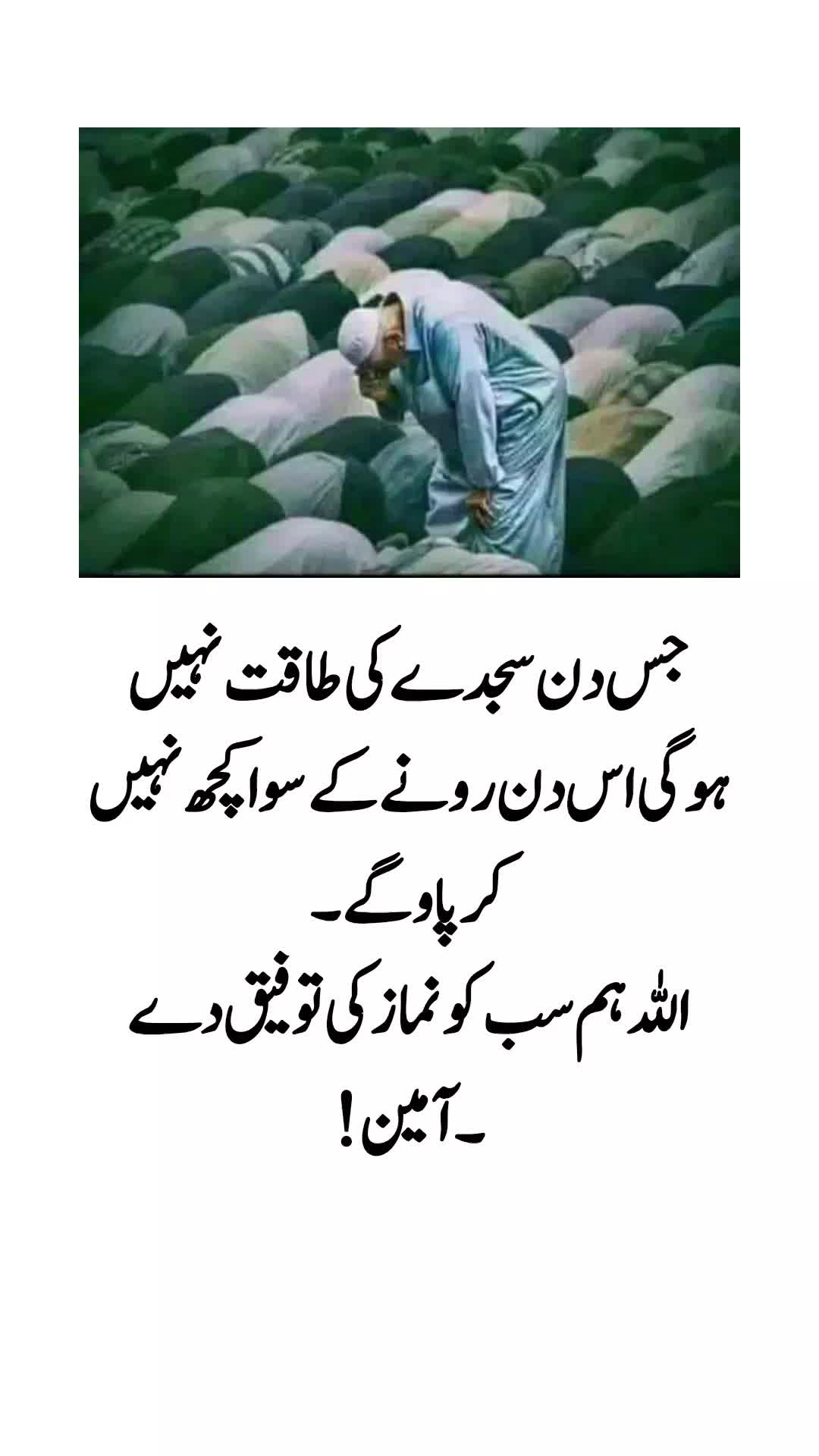 @The Wisdom