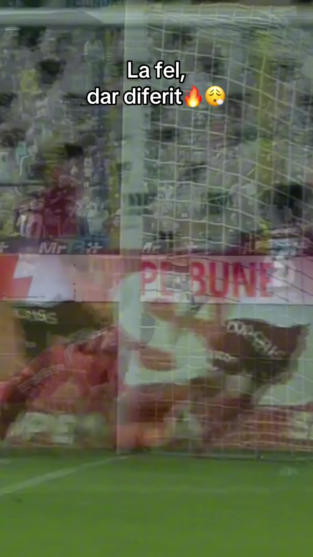 @FC Rapid