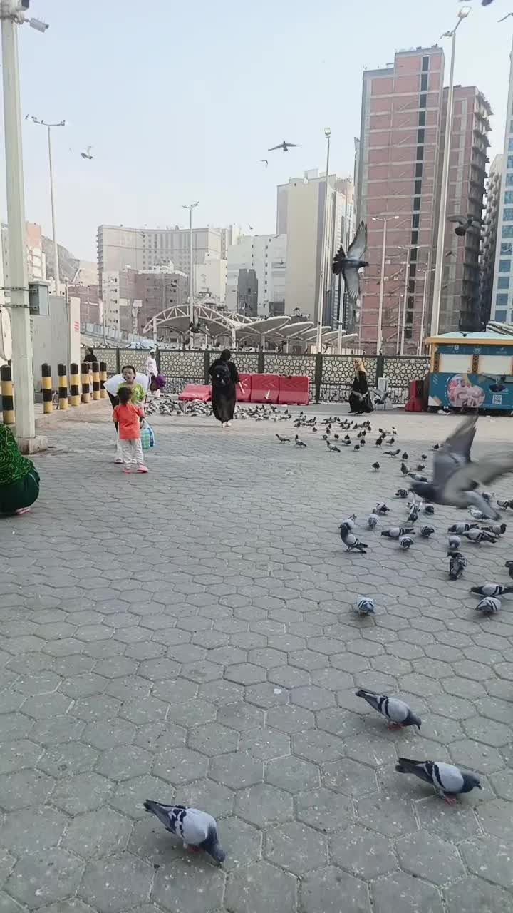 @Mahi lahori