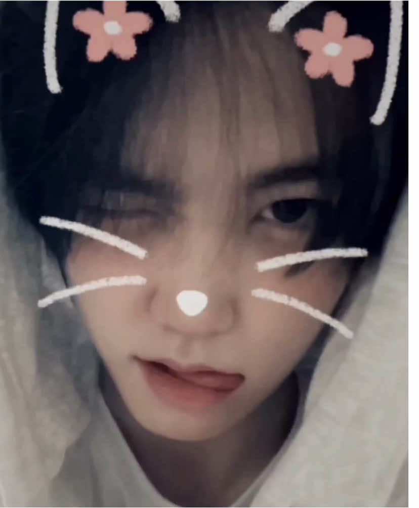 @sofi ✴︎˚。⋆