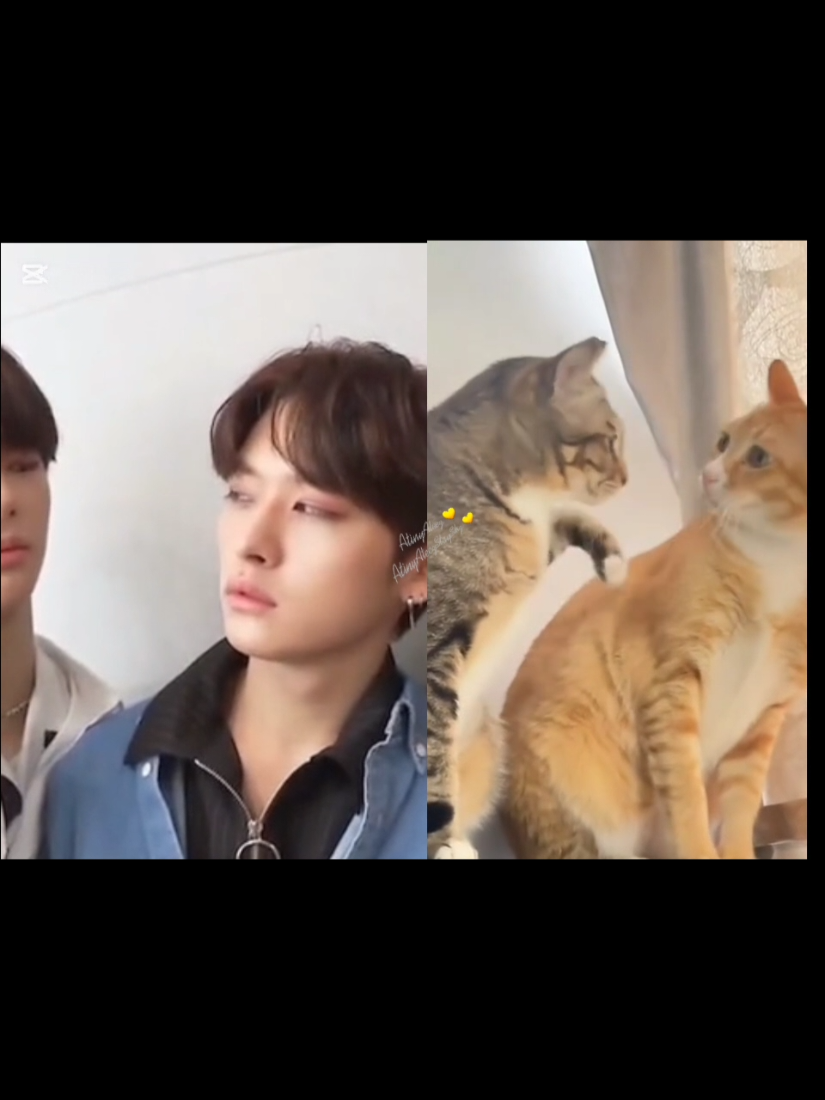 @ATINY ATEEZ💛💛🍋🧡🌶