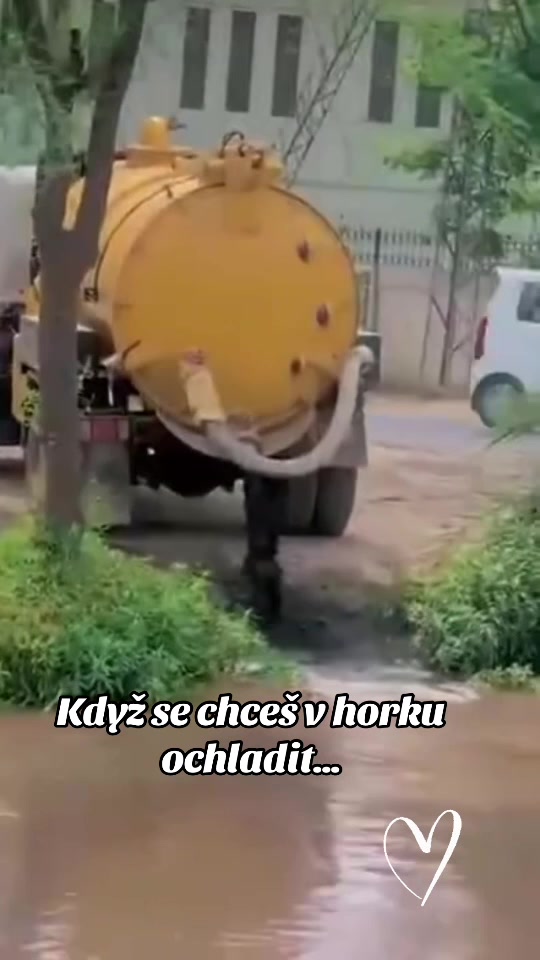 @Kamila Klásková