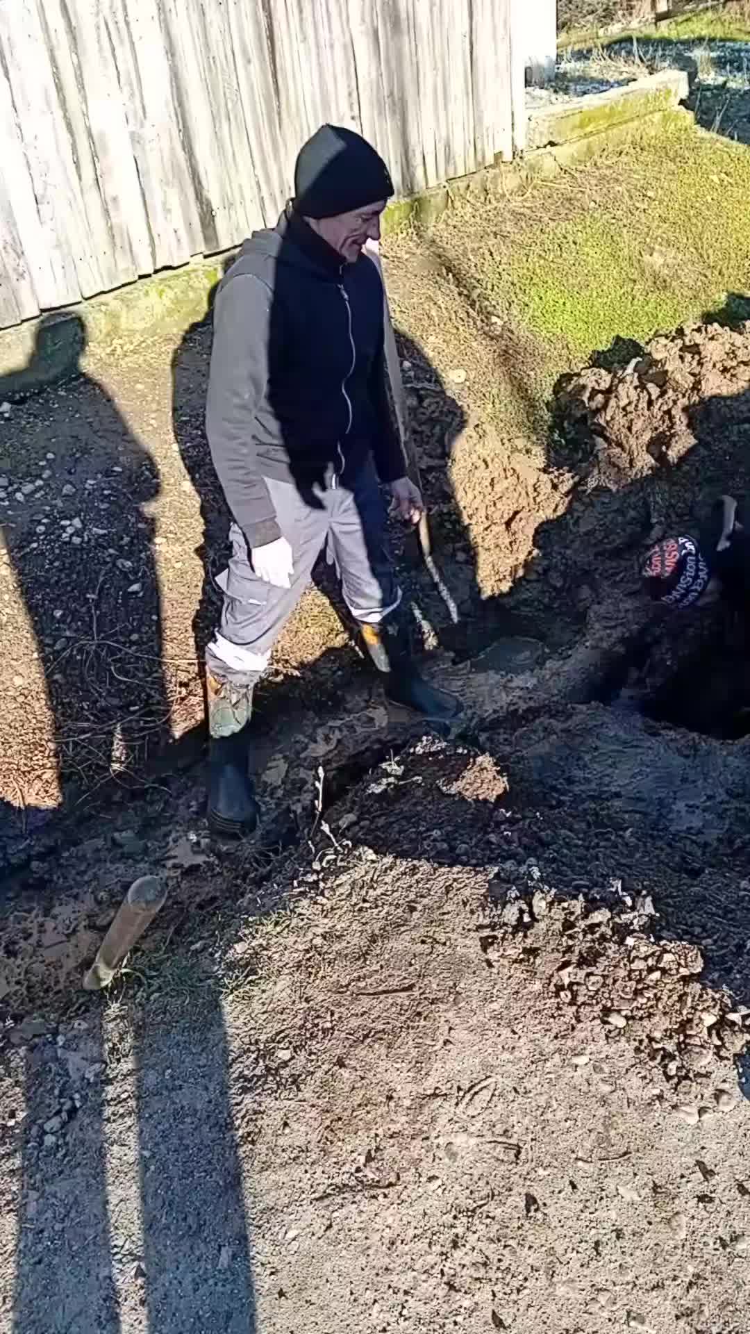 @Nicolae Stănescu