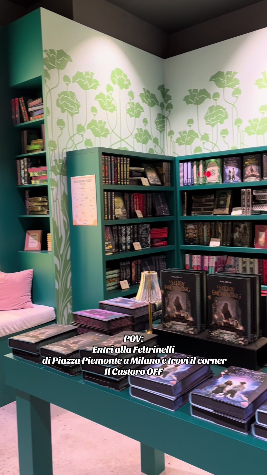 @Ilcastorolibri