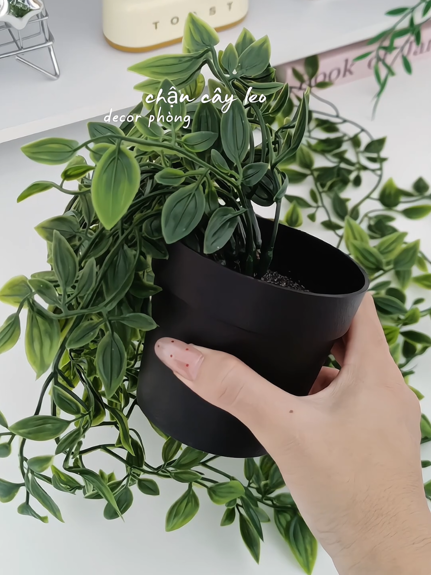 @sakurastore