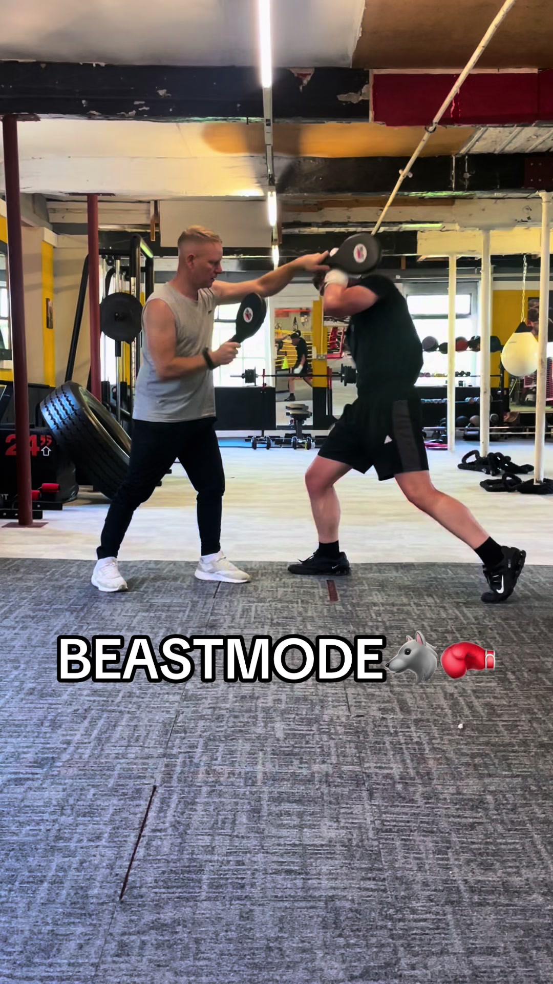@PUNCHLINE GYM