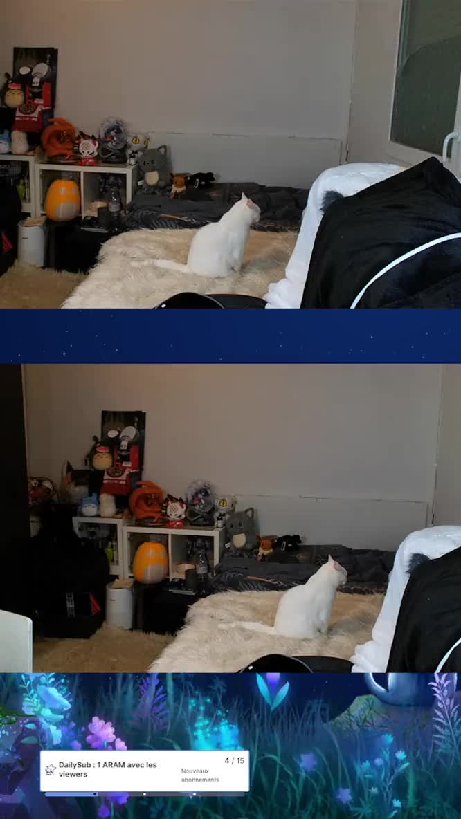 @Akito