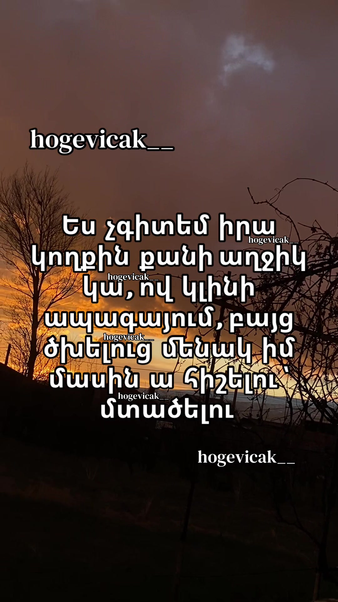 @hogevicak___