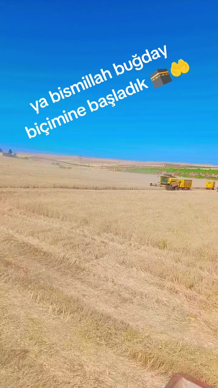 @👑🫀ÇÎRKÎÑ KRÂL 6363👑💍