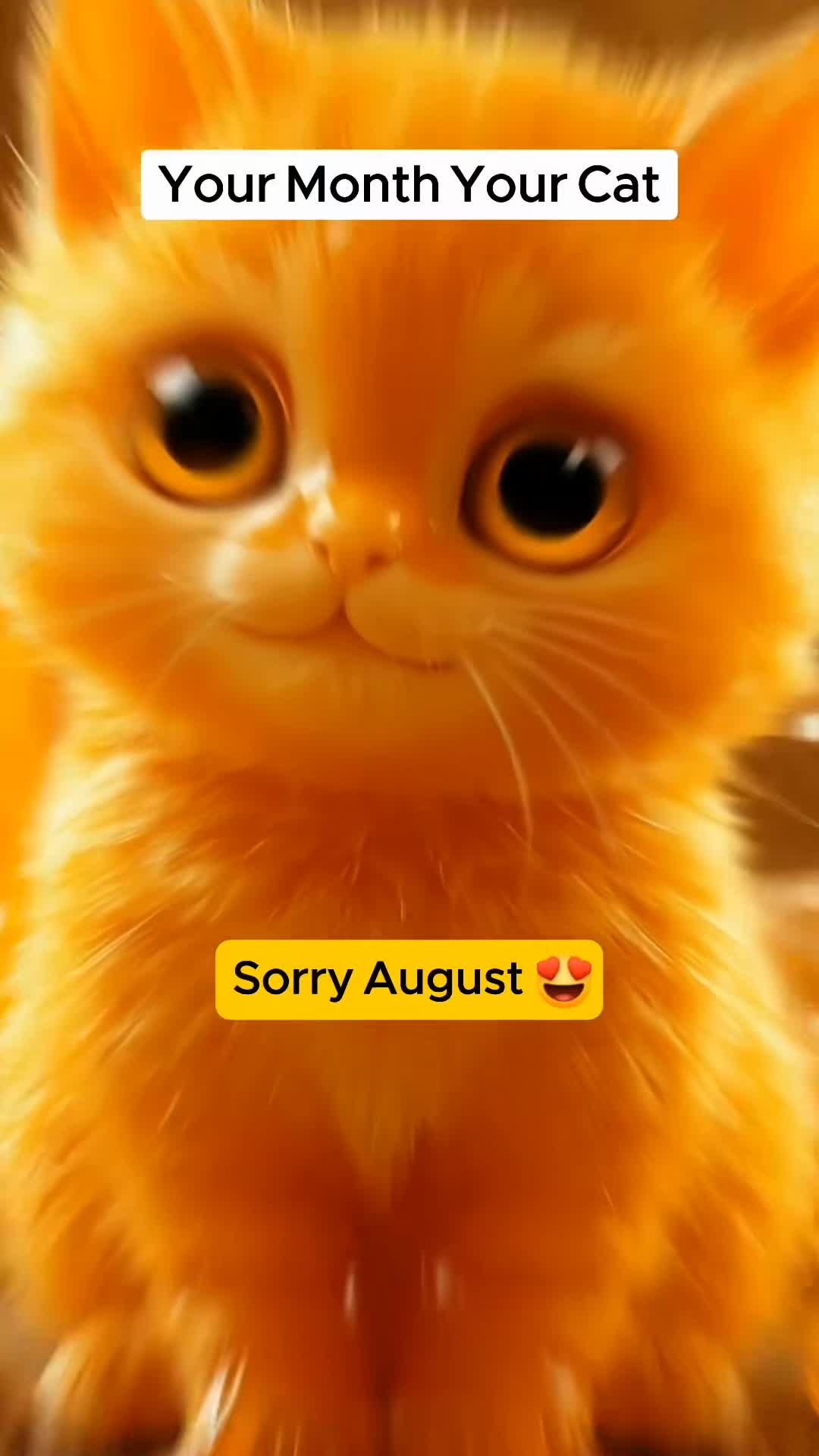 @hello kitty1245632