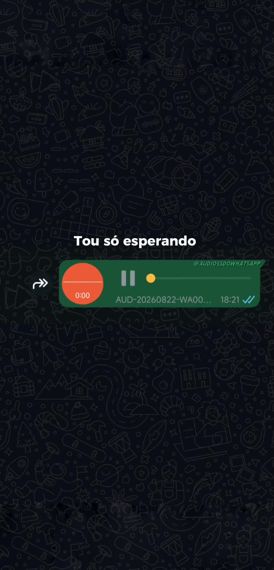 @ÁUDIOS DO WHATSAPP