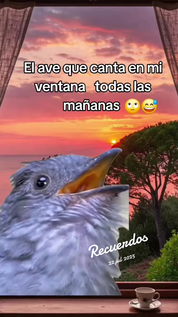 @🌹la Güera🕊🫀⚘️