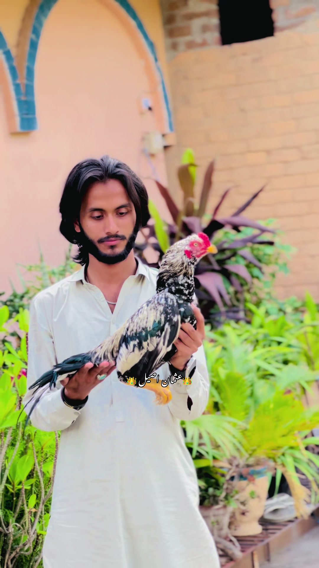 @👑عثمان اصیل 👑