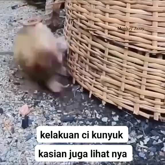 @arulalfan8