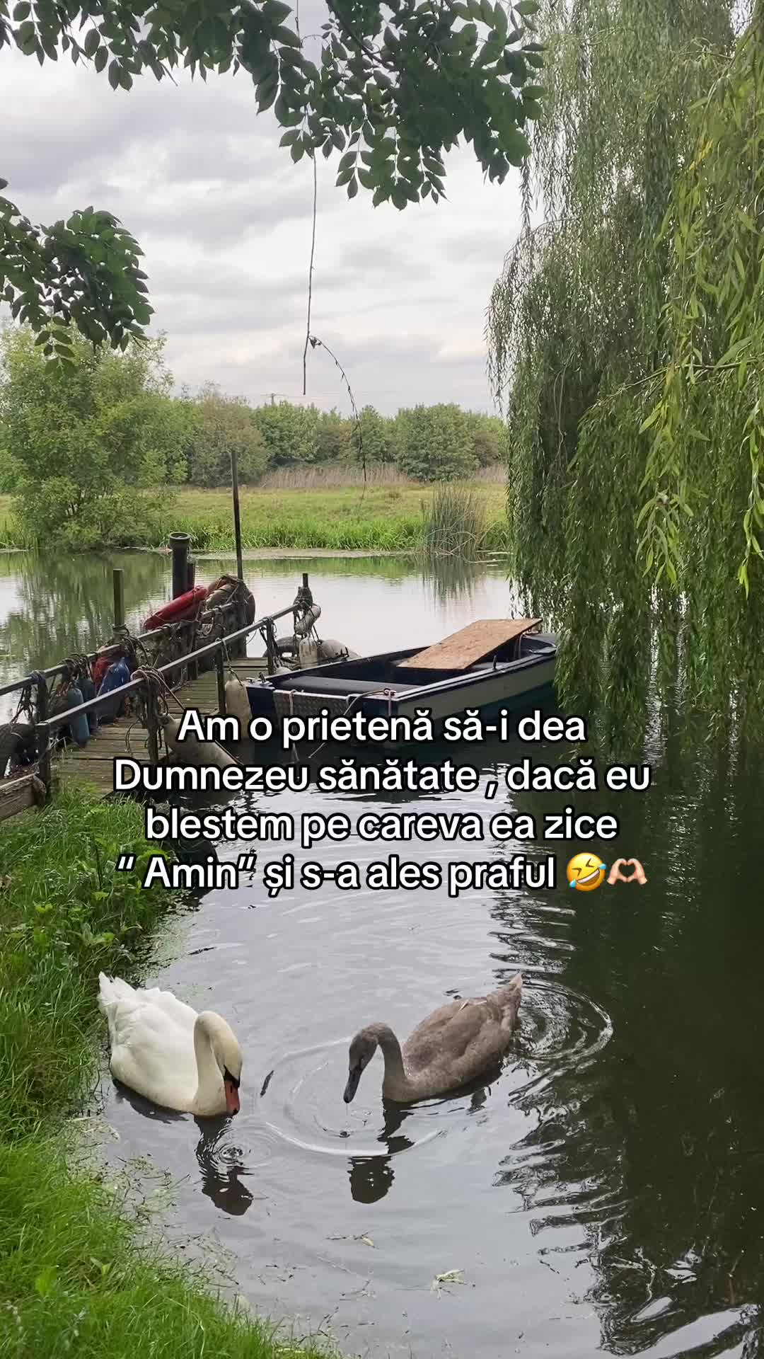@Denisa🌸