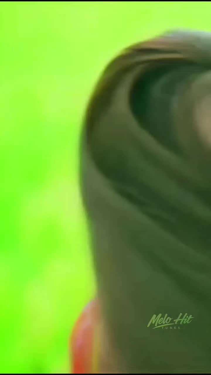 @aishwariya rai