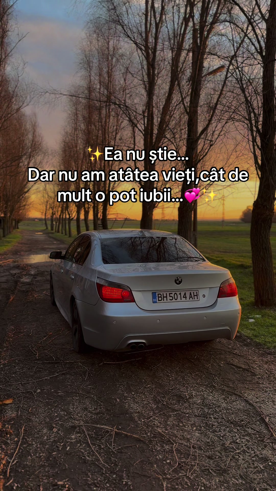 @Alin Marius