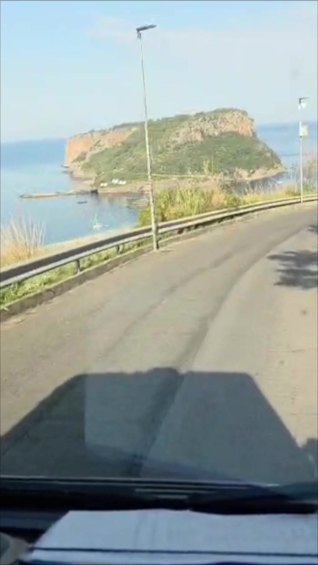 @vincenz501