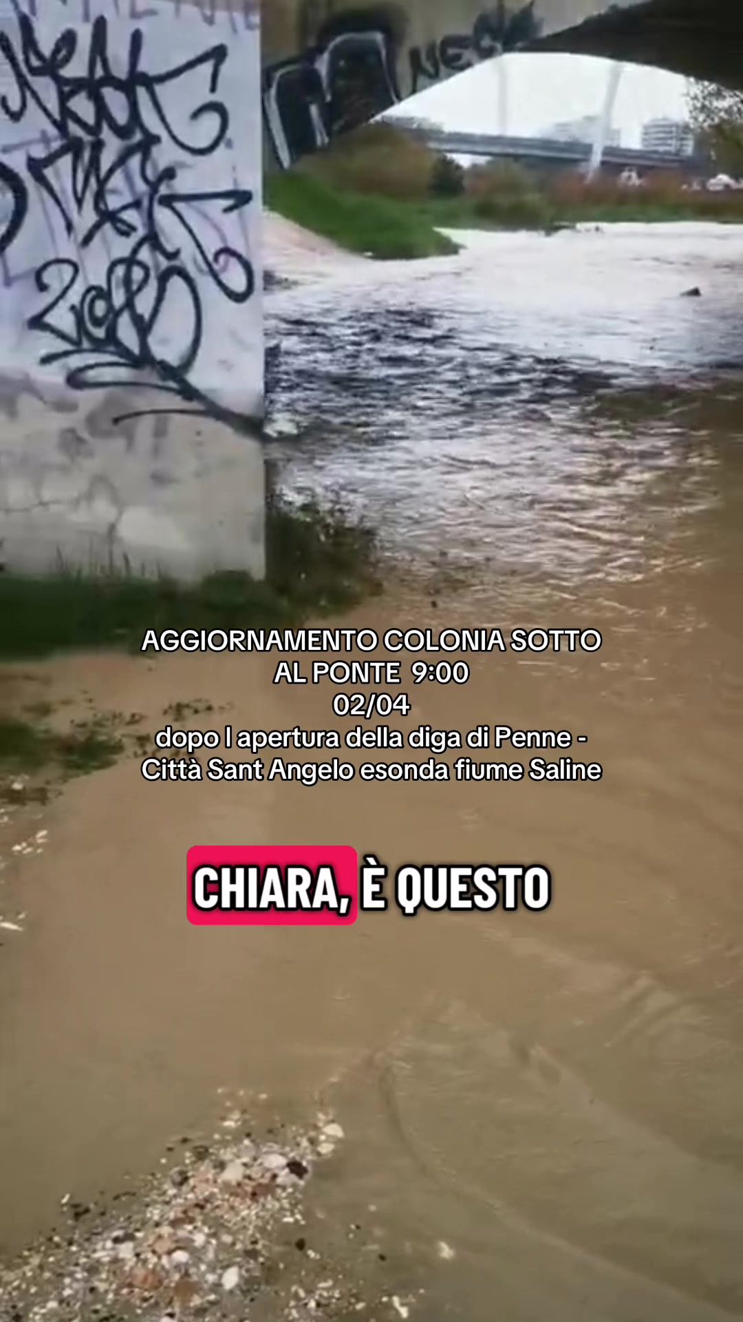 @chiaratarquini