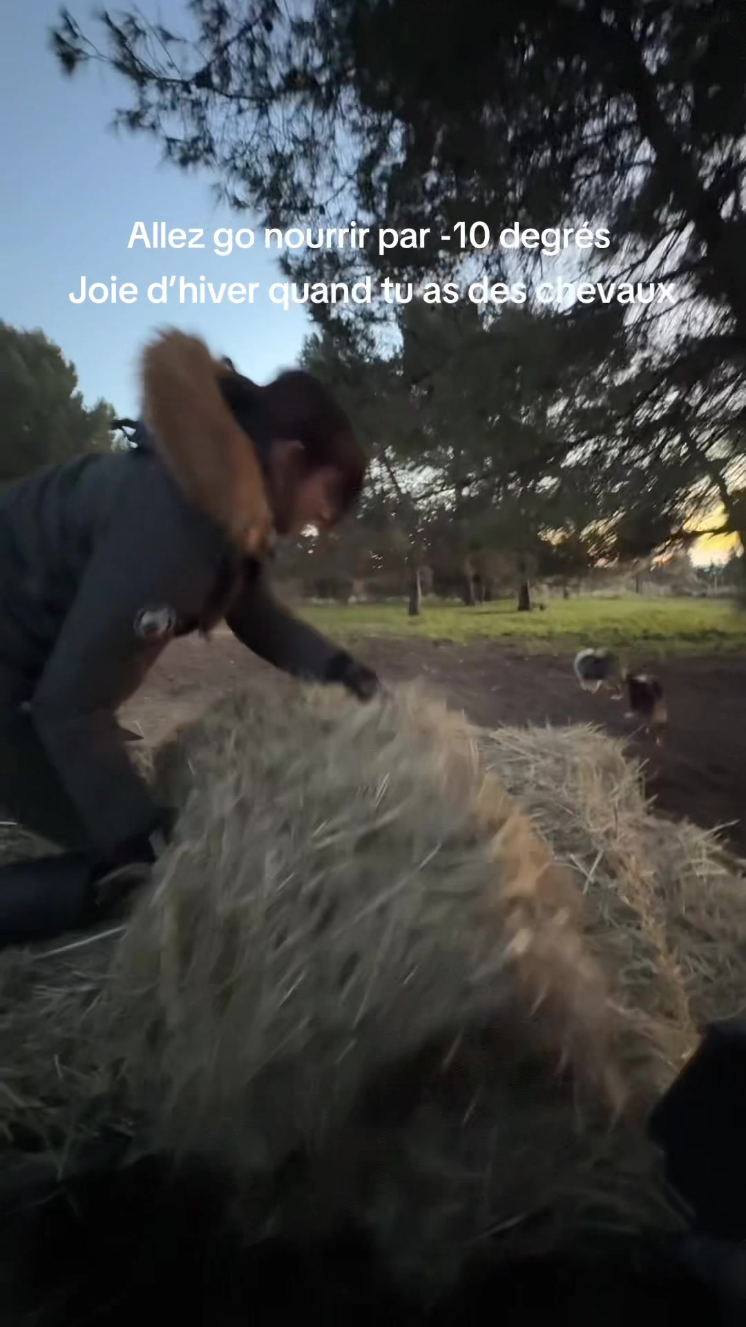 @Ranch Ethic étho