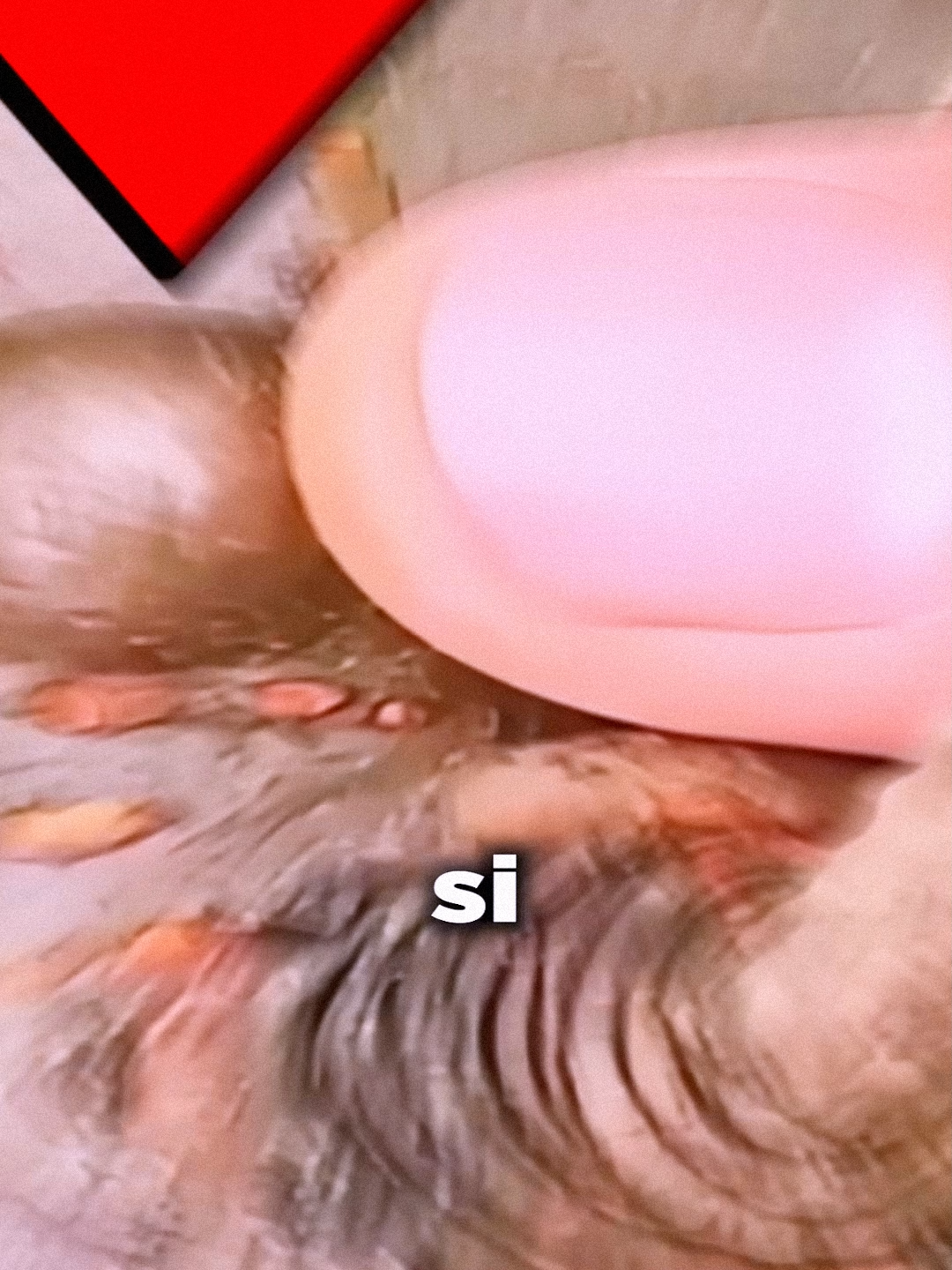 @Vipsilip.visue03