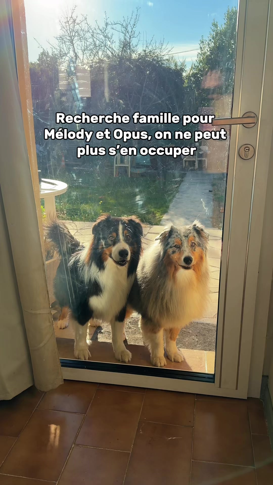 @La Patt&rsquo;Enchant&eacute;e