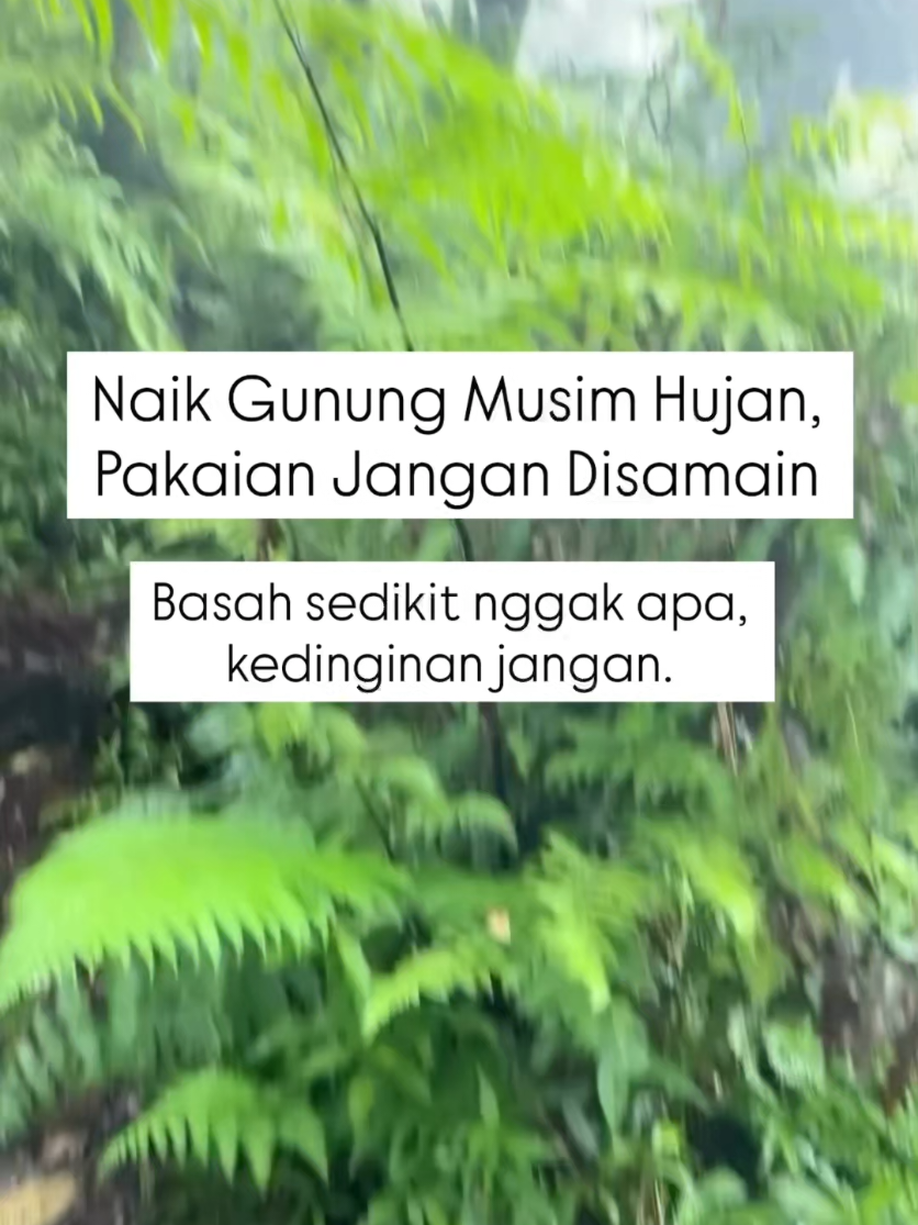 @Zaink Nst