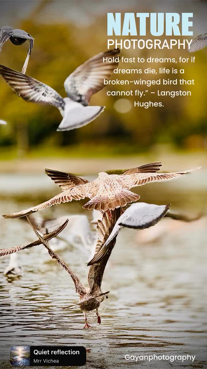@Gayan photography