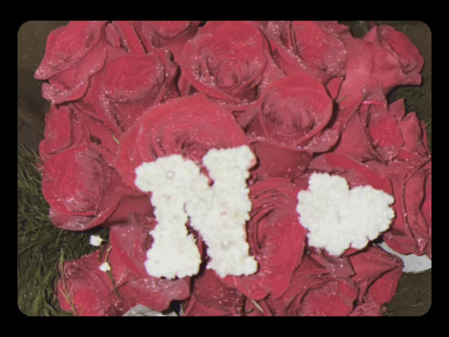 @NATALIA