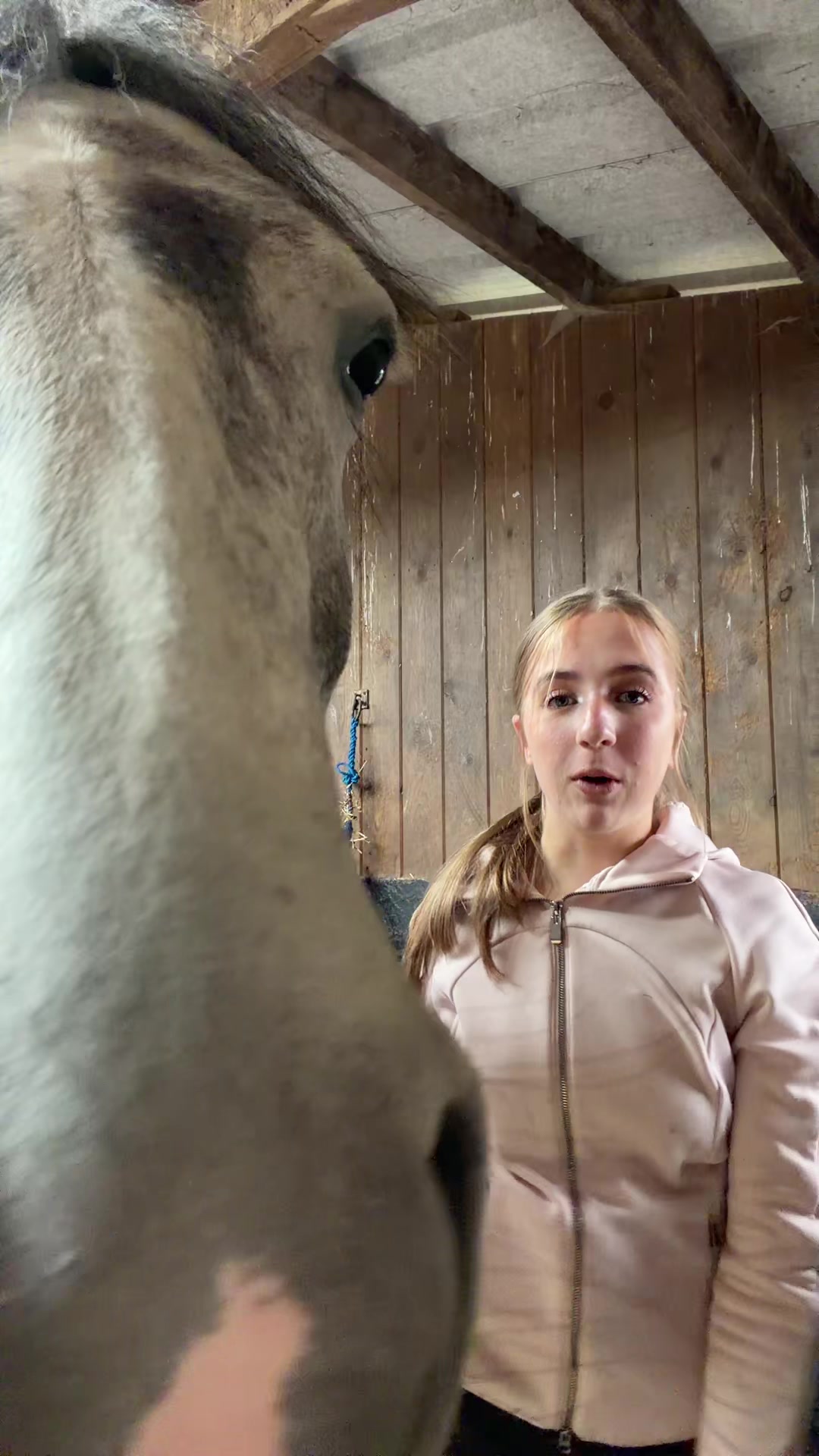 @🐎🤭