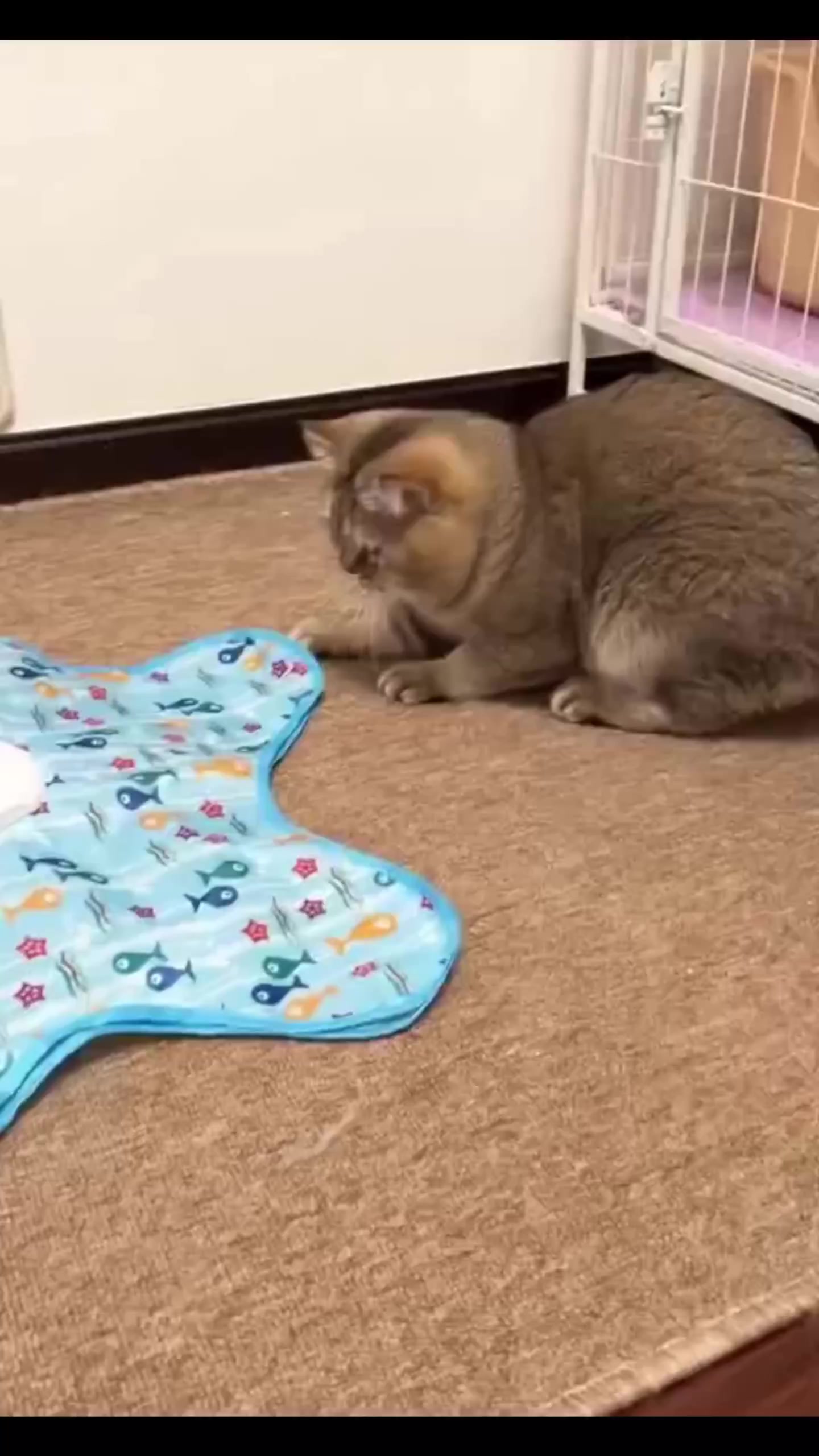 @Minnie2024