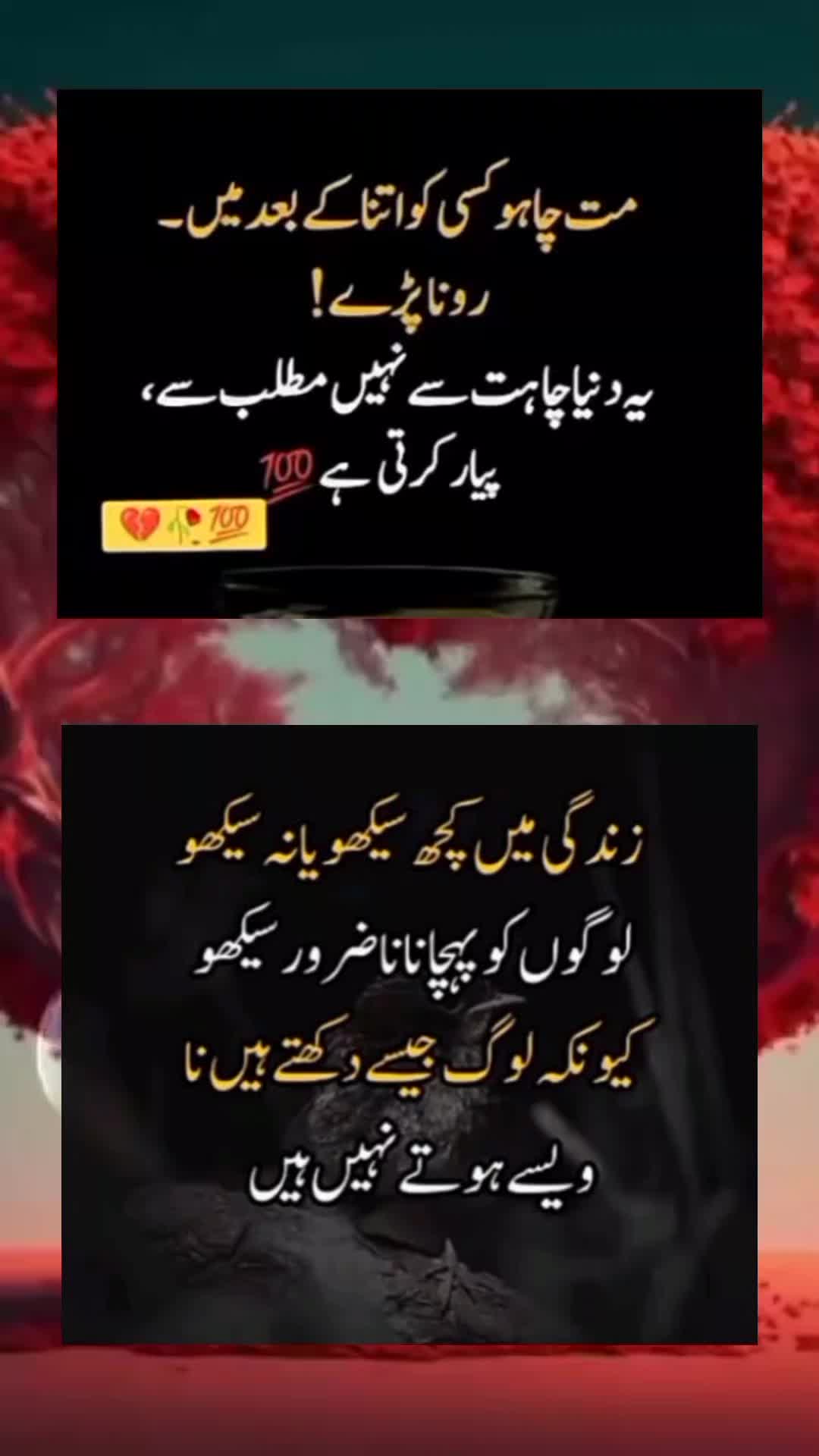 @sharaiz