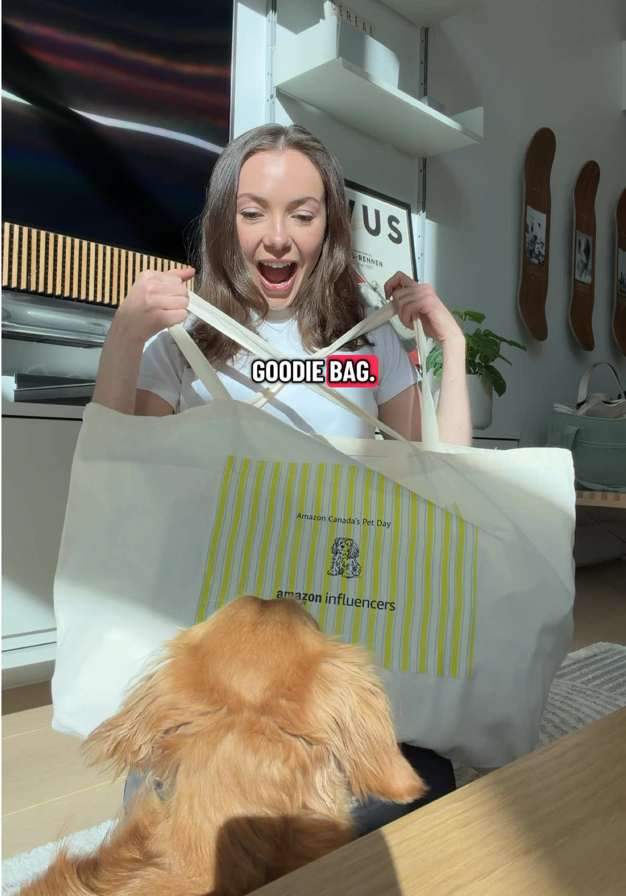 @cashewdachshund