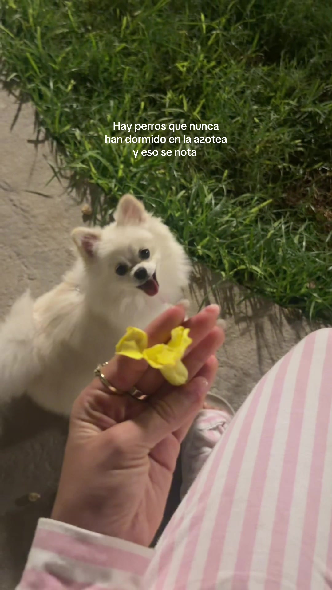 @No.soy.una.kardashian