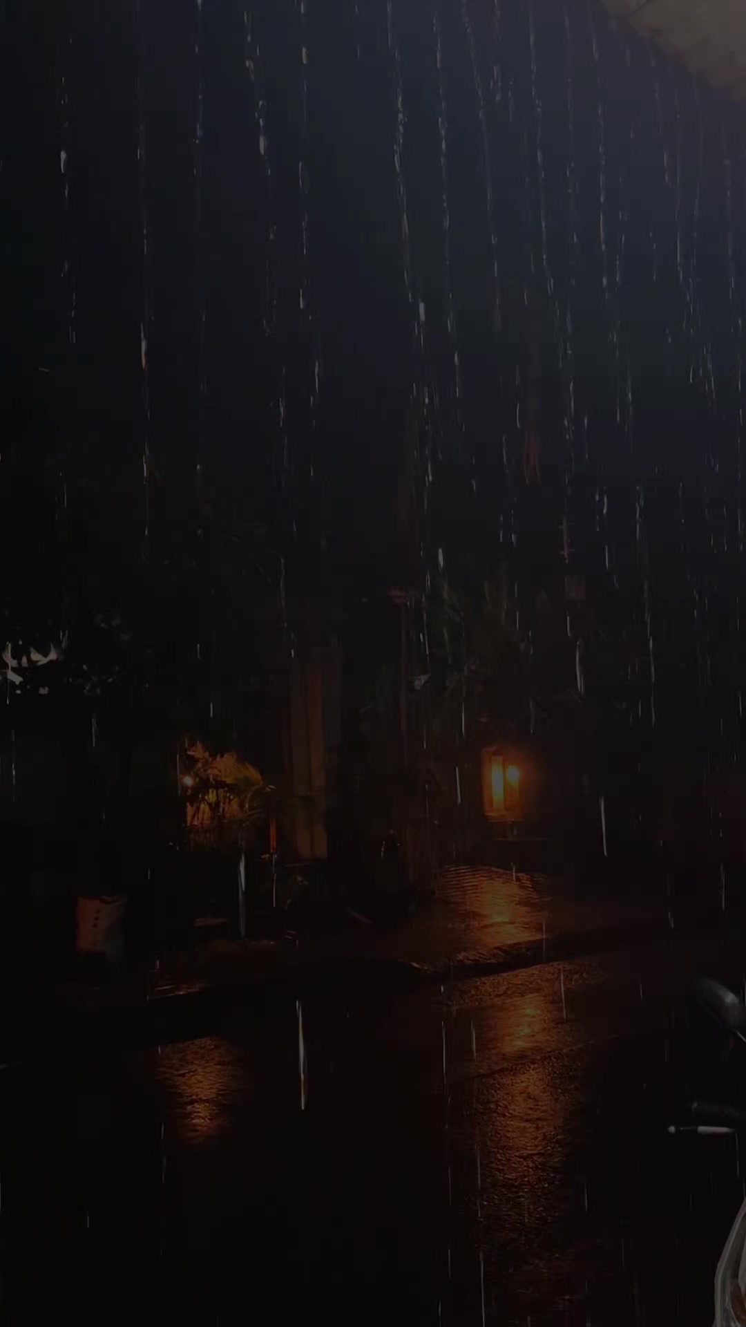 @𝓣𝓪𝓾𝓻𝓾𝓼