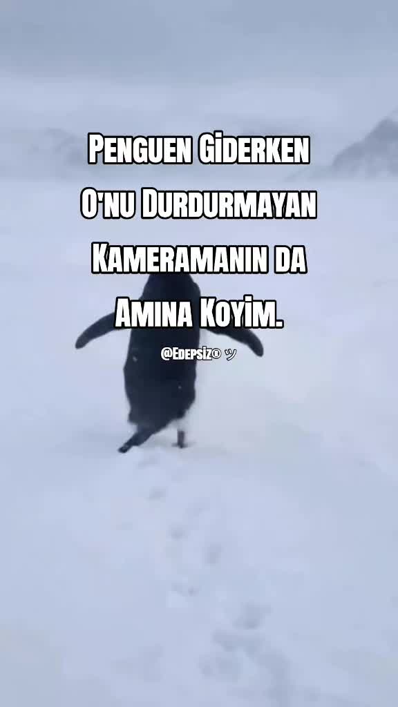 @Edepsiz&reg; ツ