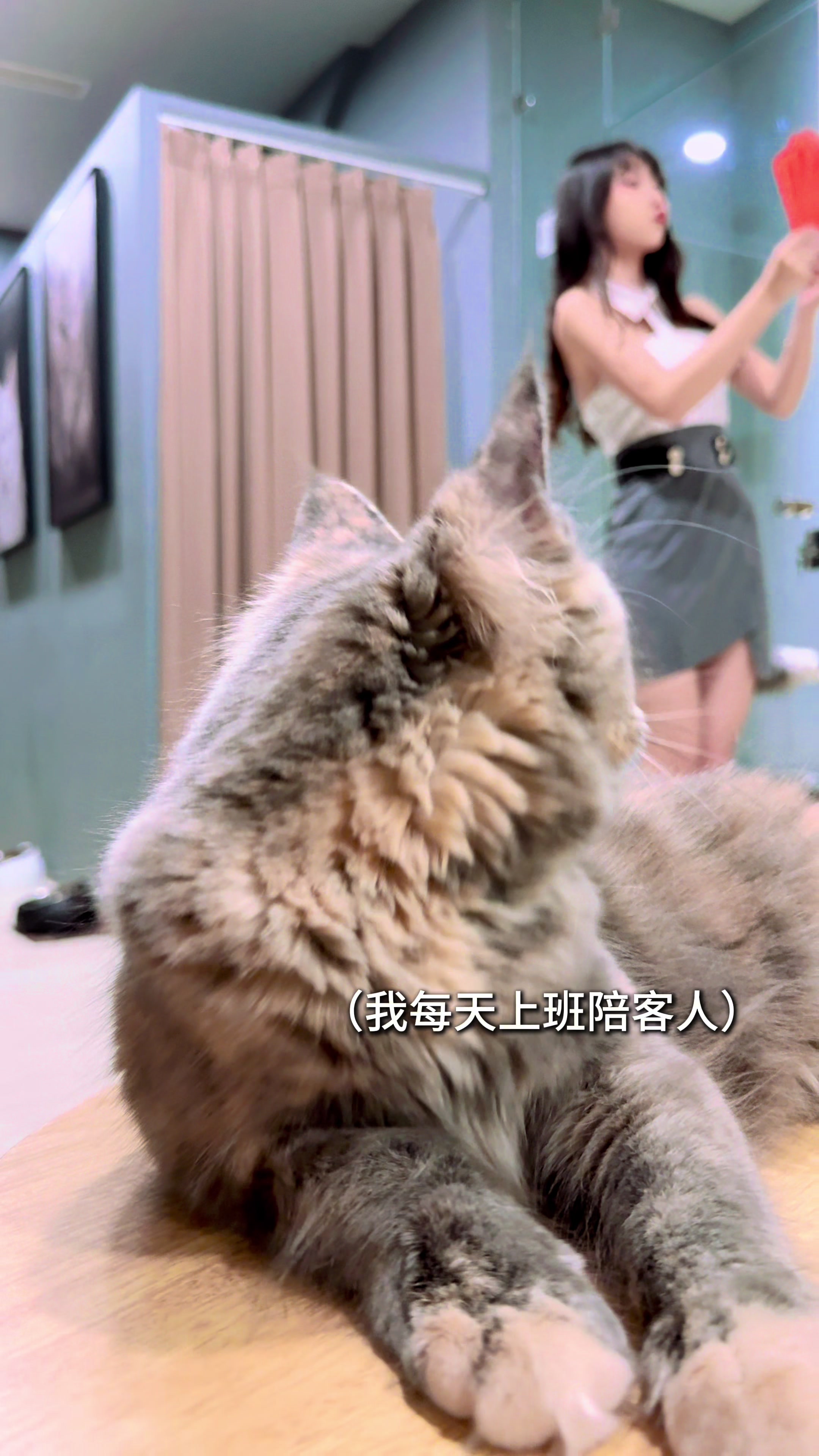 @不是那個ㄒㄩㄢの軒軒