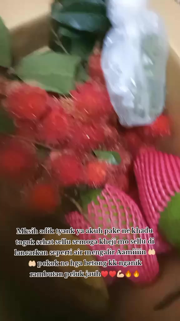 @༲࿆༫࿆࿂ฬɧ◊ ÞÈฬÎ ༲࿆༫࿆࿂