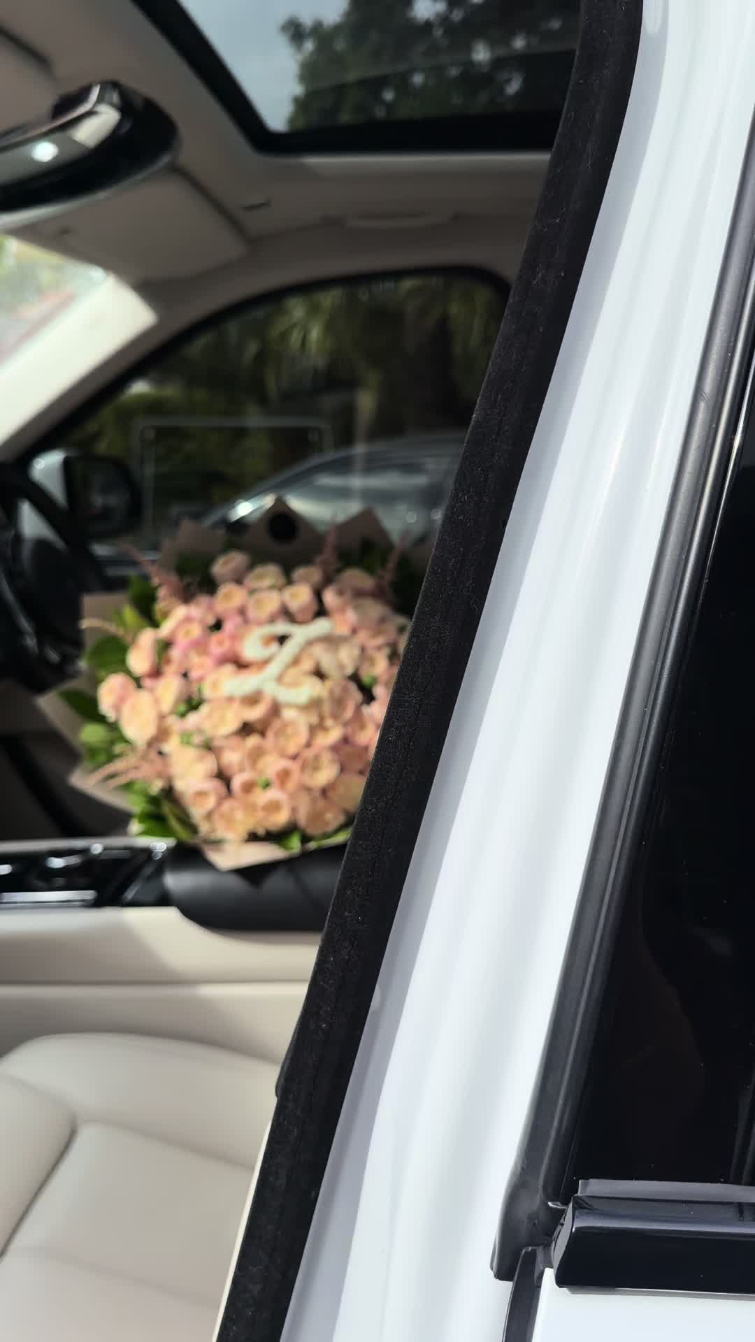 @floralsaurora