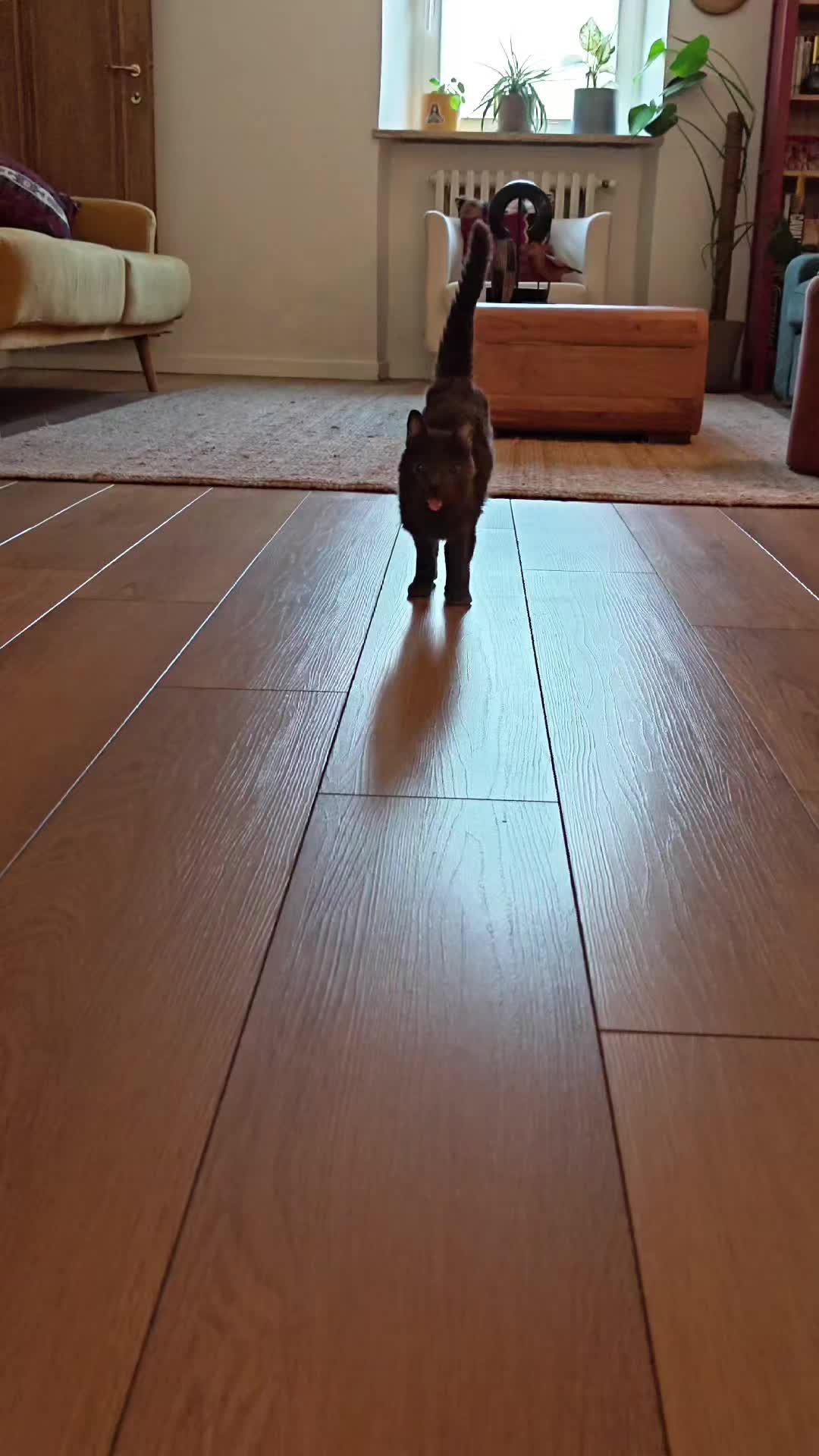 @blu_the_blep