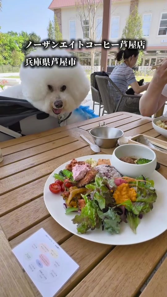 @コロン🐶