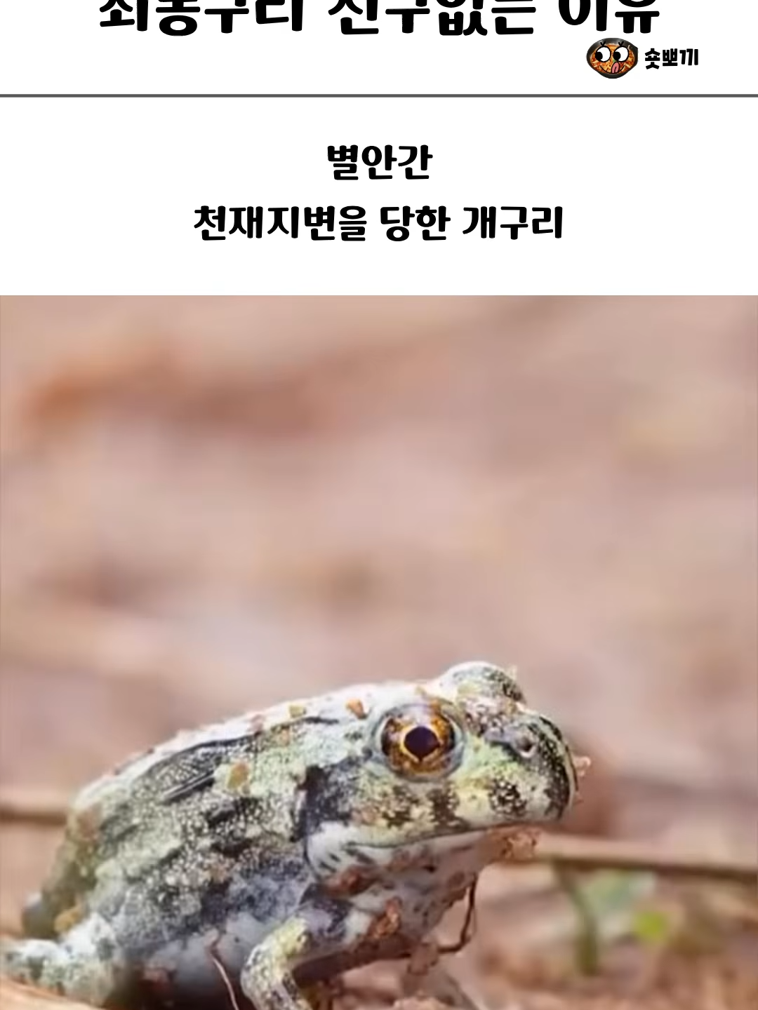 @김땡컨