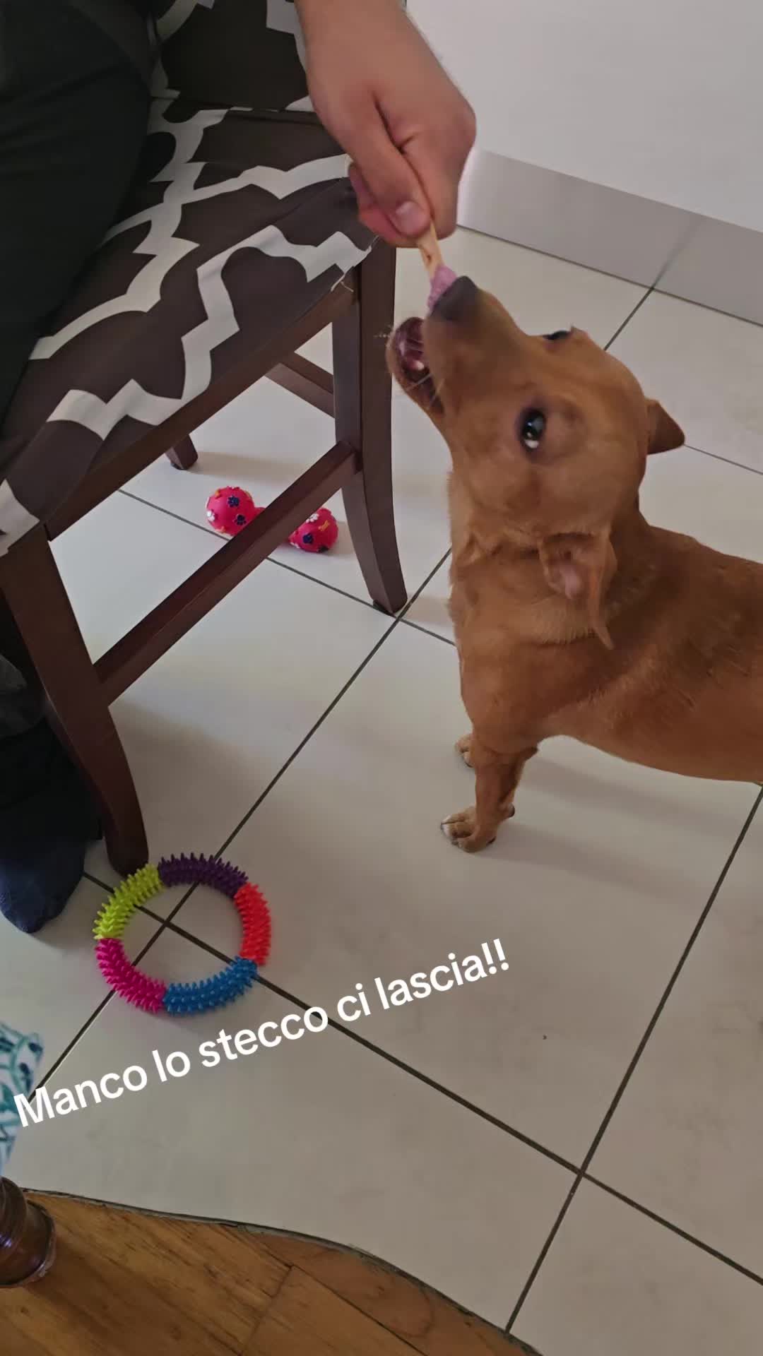 @Naomi
