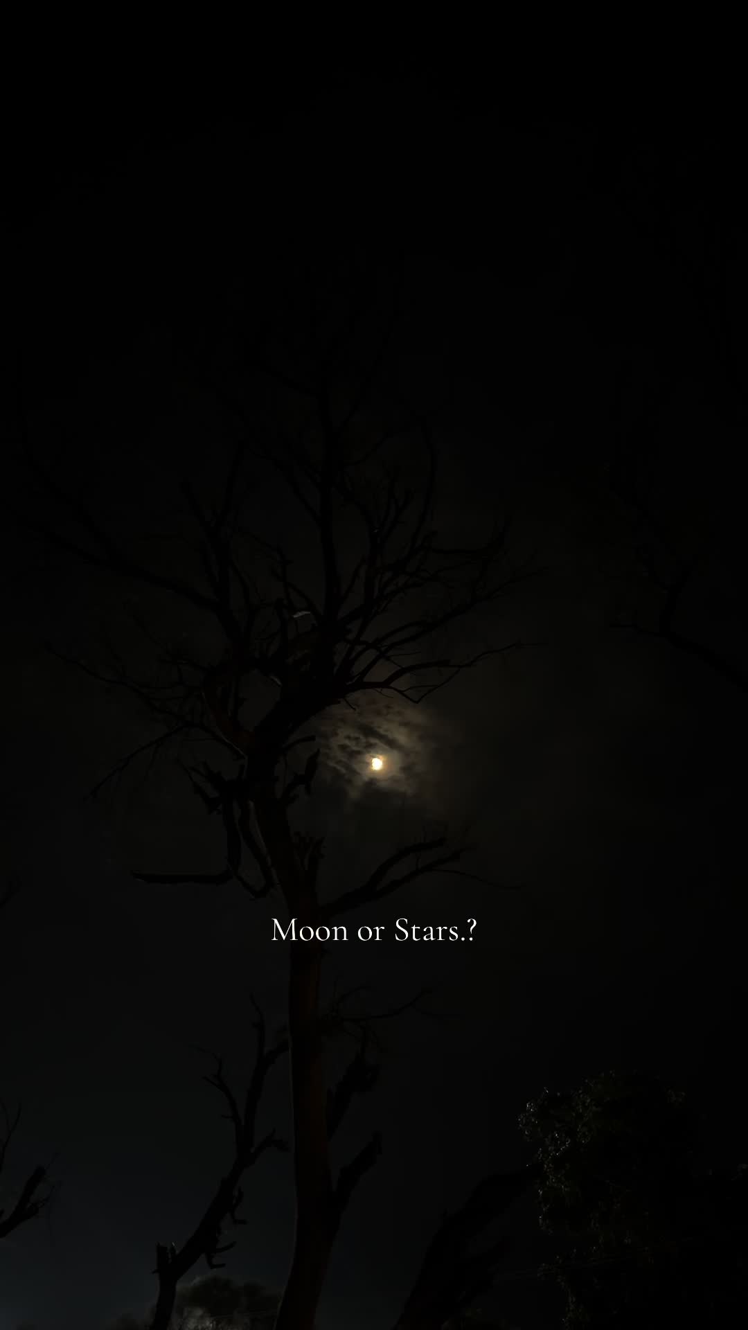 @𝙼𝐻