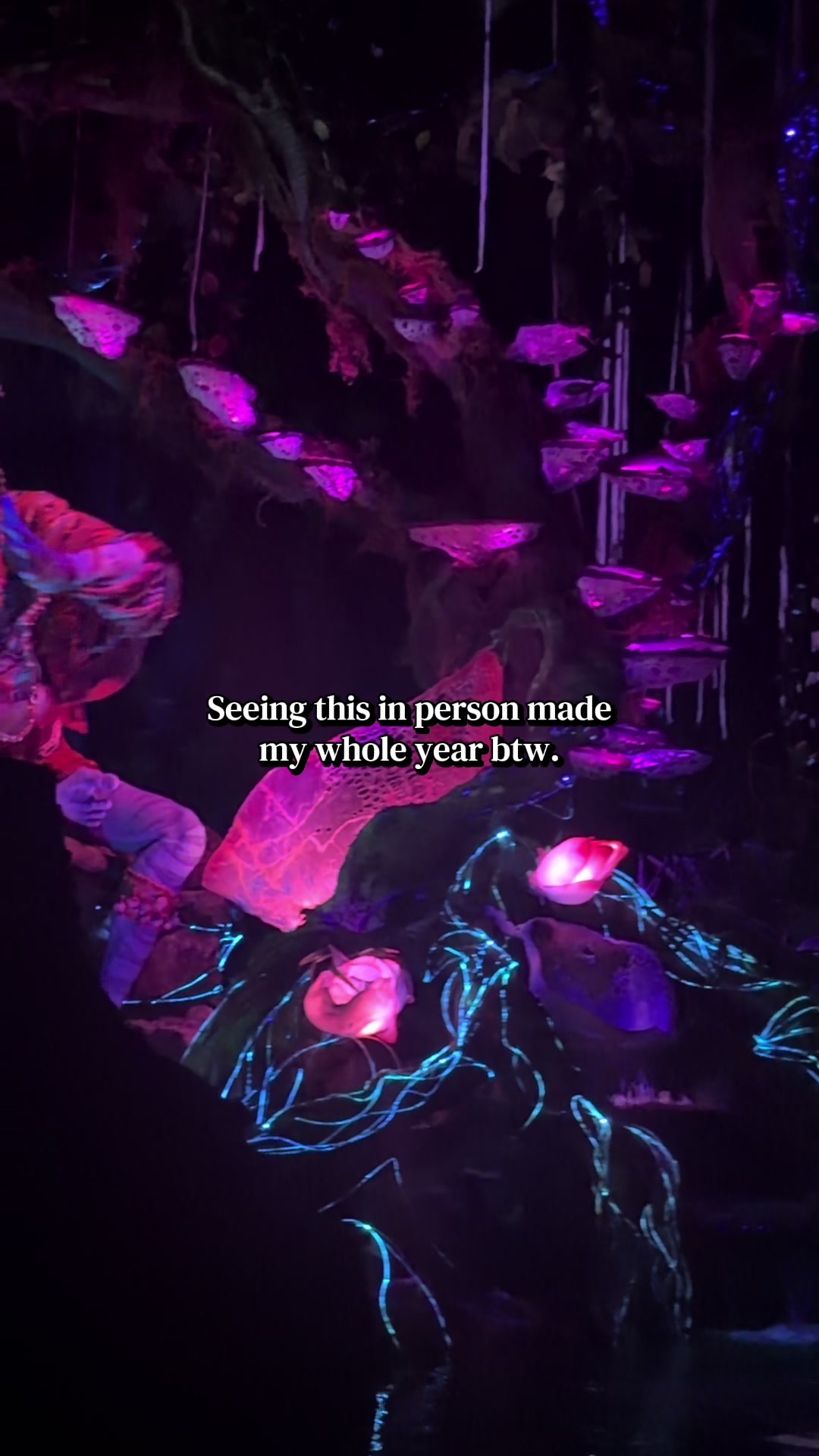 @𝓡𝓸𝓸₁₈