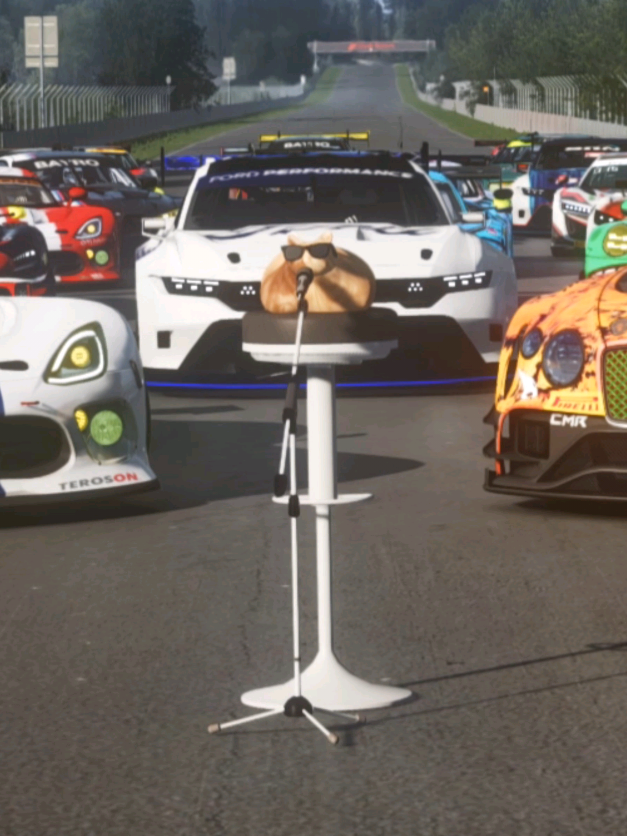 @Pablo the Race Cat